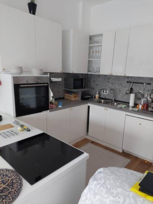 Stilvolle Wohnung Mit Terrasse/Garten Виена Екстериор снимка